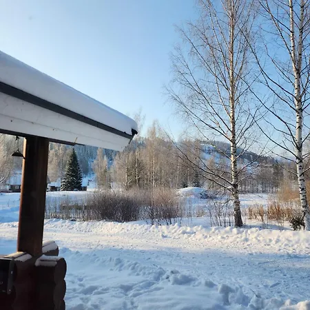 Aeijaenhonka Apartment Jämsä