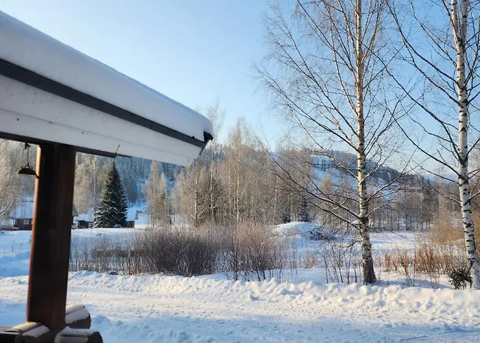 Aeijaenhonka 公寓 Jämsä