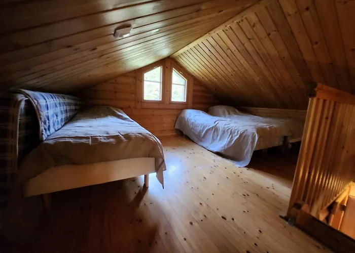 Aeijaenhonka Jämsä